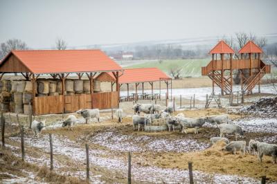 svadba_olcso-fotos_eskuvo_svadba-v-sturove_esztergom_svadobny-fotograf_juraj-zsok_lacny-fotograf046.jpg