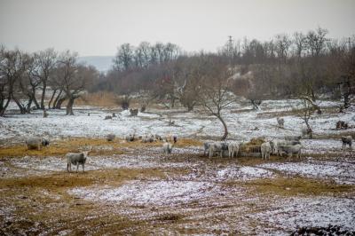 svadba_olcso-fotos_eskuvo_svadba-v-sturove_esztergom_svadobny-fotograf_juraj-zsok_lacny-fotograf050.jpg