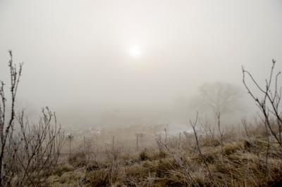 svadba_olcso-fotos_eskuvo_svadba-v-sturove_esztergom_svadobny-fotograf_juraj-zsok_lacny-fotograf052.jpg