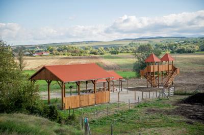 svadba_olcso-fotos_eskuvo_svadba-v-sturove_esztergom_svadobny-fotograf_juraj-zsok_lacny-fotograf053.jpg