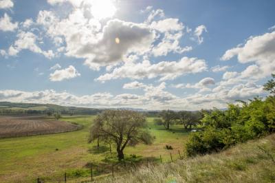 svadba_olcso-fotos_eskuvo_svadba-v-sturove_esztergom_svadobny-fotograf_juraj-zsok_lacny-fotograf055.jpg