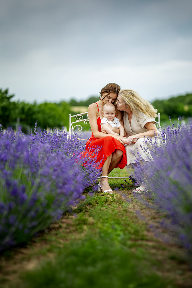 NORMAL cover916kicsi.jpg